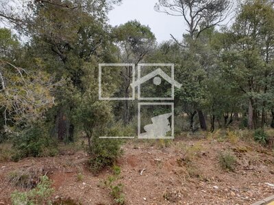 Local en Barcelona