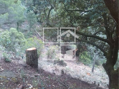 Local en Vacarisses Barcelona