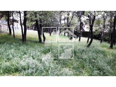 Local en Seva Barcelona