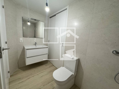 Local en Olot Girona