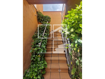 Local en Olot Girona