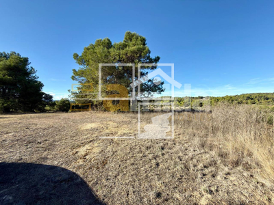 Local en Vinaixa Lleida Local en Vinaixa Lleida