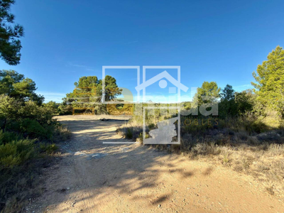 Local en Vinaixa Lleida Local en Vinaixa Lleida