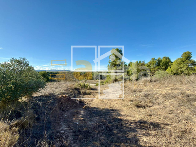 Local en Vinaixa Lleida Local en Vinaixa Lleida