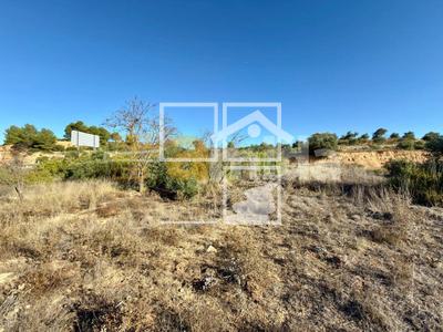 Local en Vinaixa Lleida Local en Vinaixa Lleida