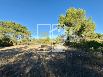 Local en Vinaixa Lleida Local en Vinaixa Lleida