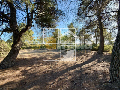 Local en Vinaixa Lleida Local en Vinaixa Lleida