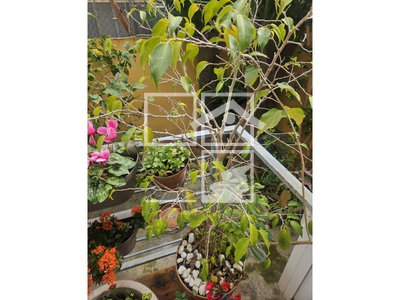 Local en Cunit Tarragona Local en Cunit Tarragona