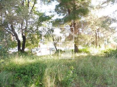 Local en Sant Quirze del Vallès Barcelona