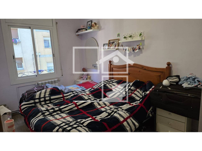 Local en Olot Girona