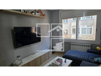 Local en Olot Girona