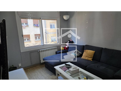 Local en Olot Girona